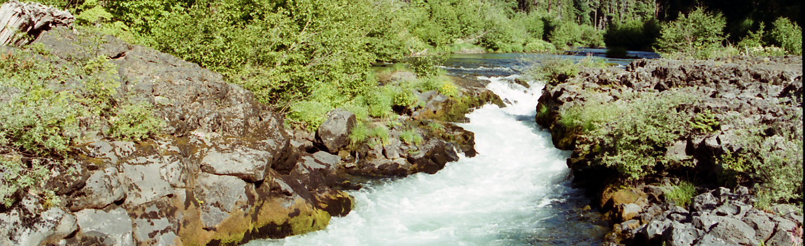 Rogue River