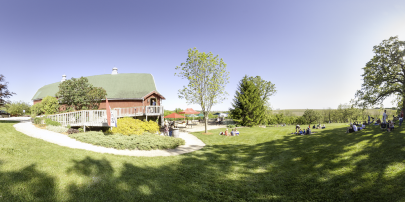 Botham Vineyards & Winery