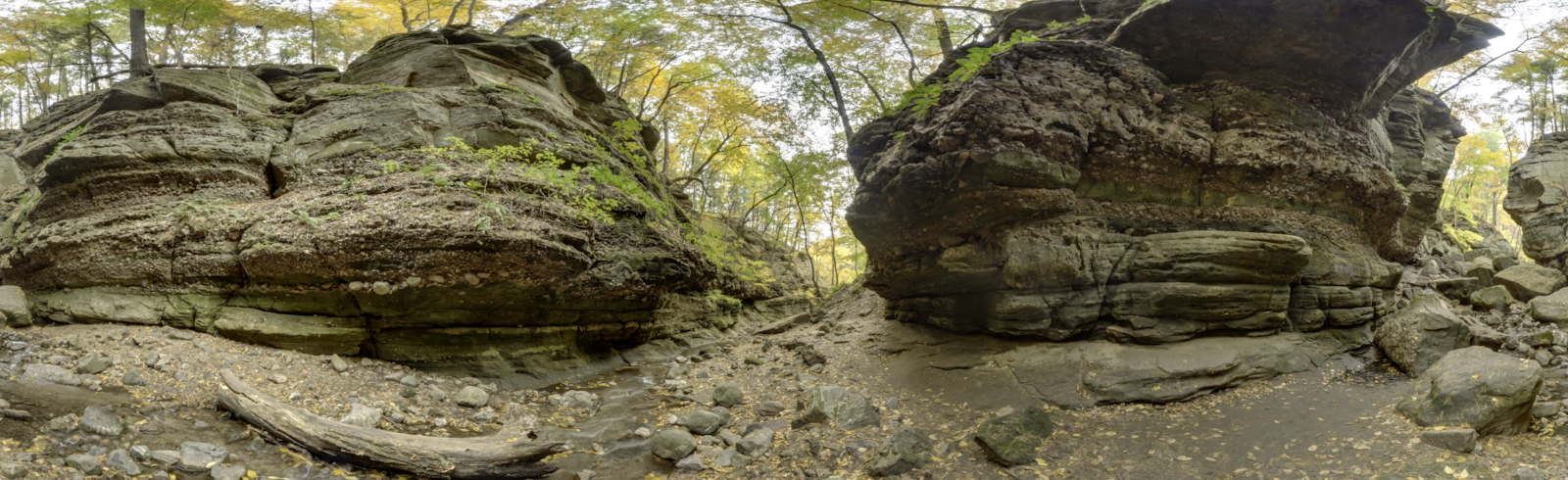 Parfrey's Glen