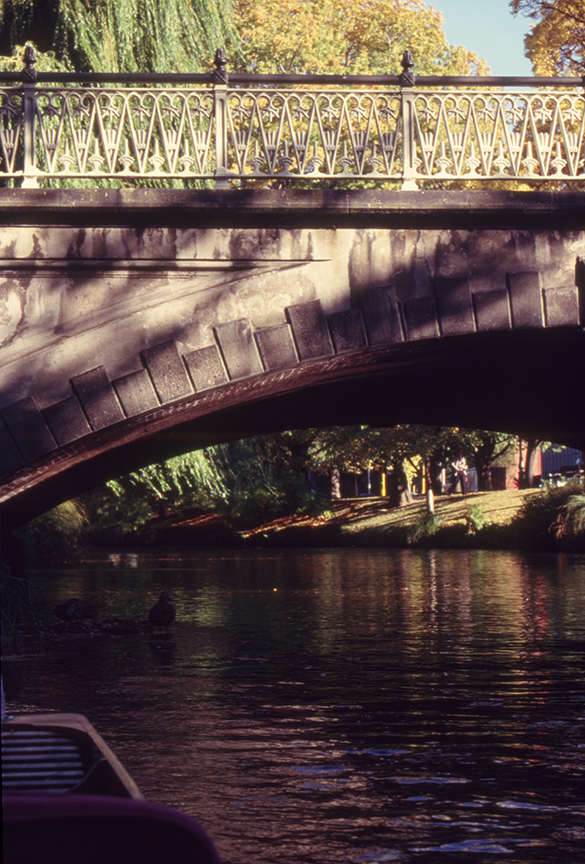 Punting on the Avon