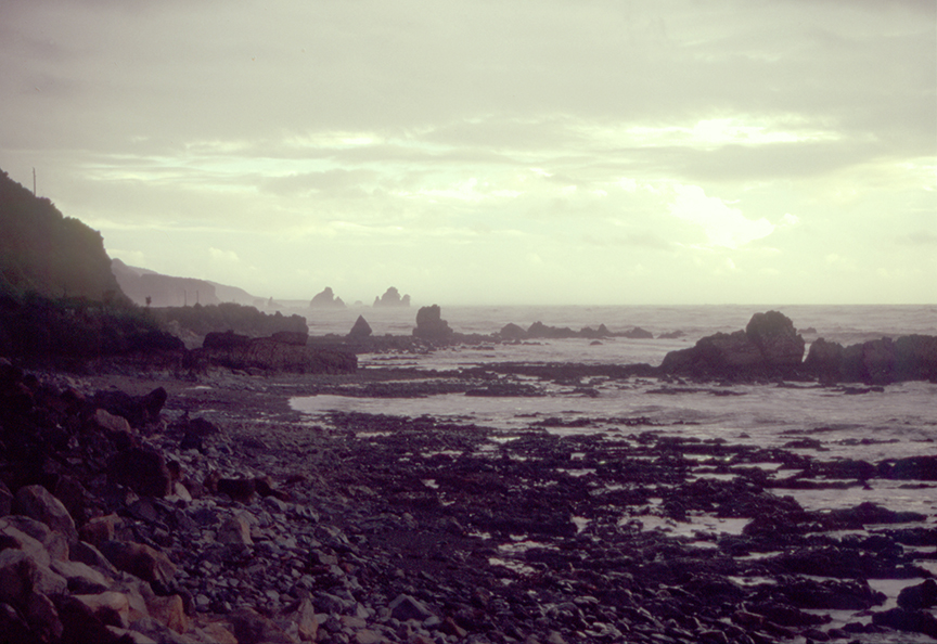 The Tasman Sea coastline