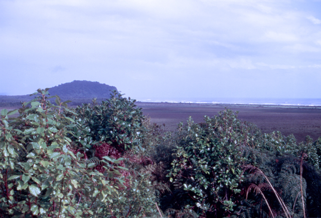 The Tasman Sea