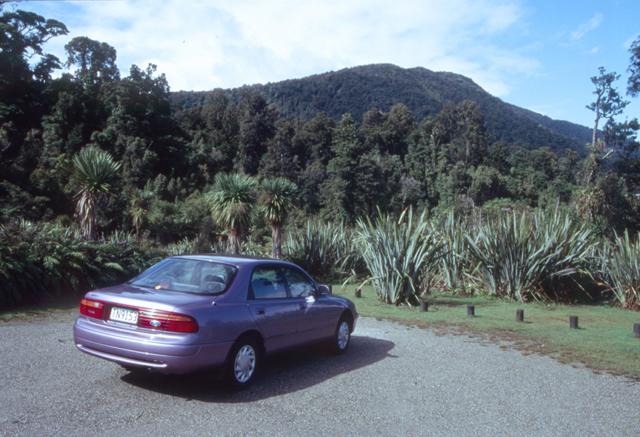 The purple Ford at Lake Ianthe