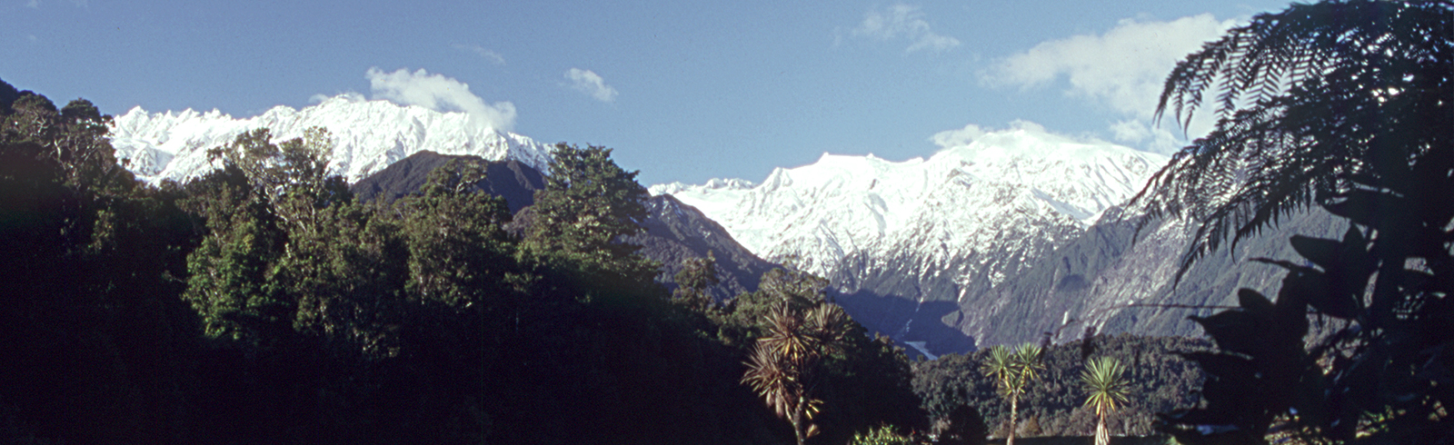 View from Franz Josef Hotel