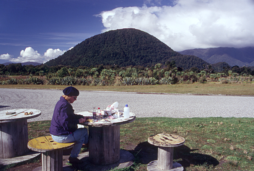 The view from today's Standard Picnic, Haast