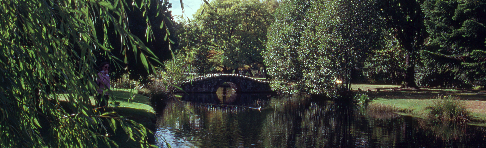 Queenstown Garden