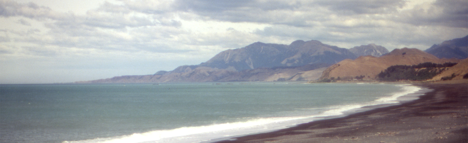 Kaikoura Coast