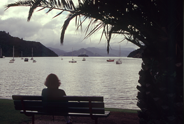 Laura takes in Picton Harbour