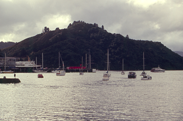 Picton Harbour