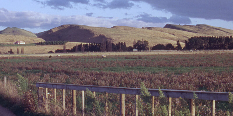 Somewhere on the North Island