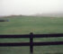 Our horse farm, Taupo