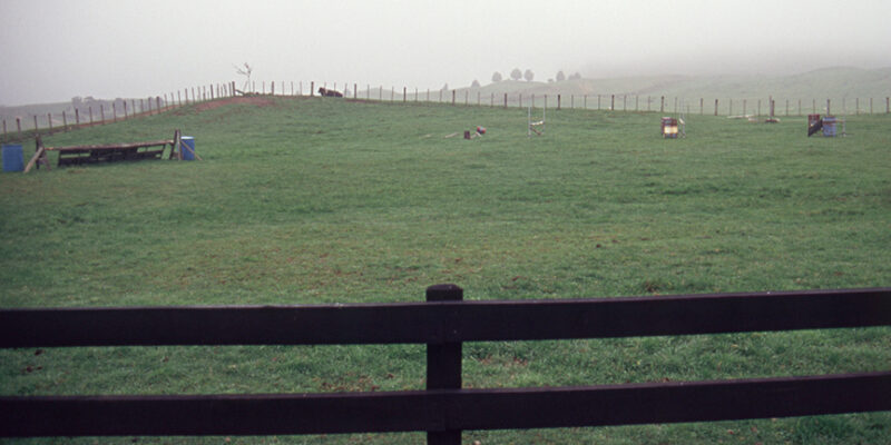 Our horse farm, Taupo